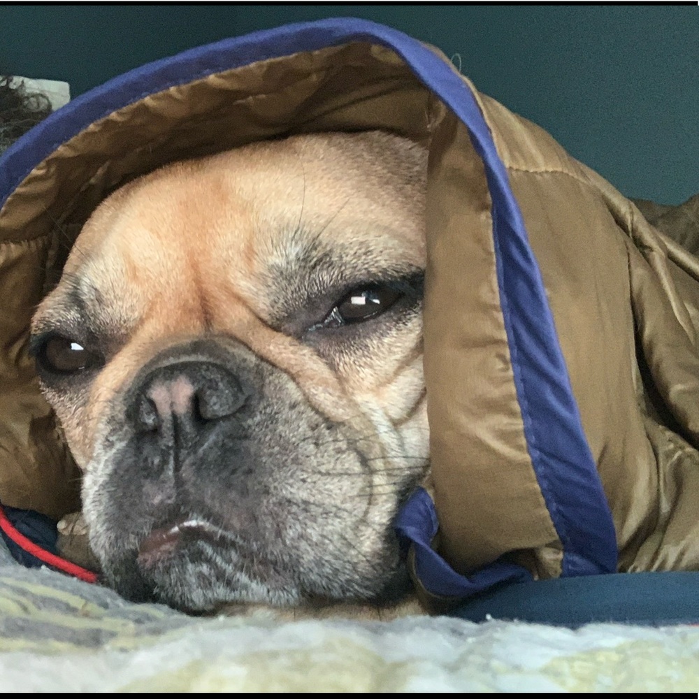 Meet your Posher, Bob